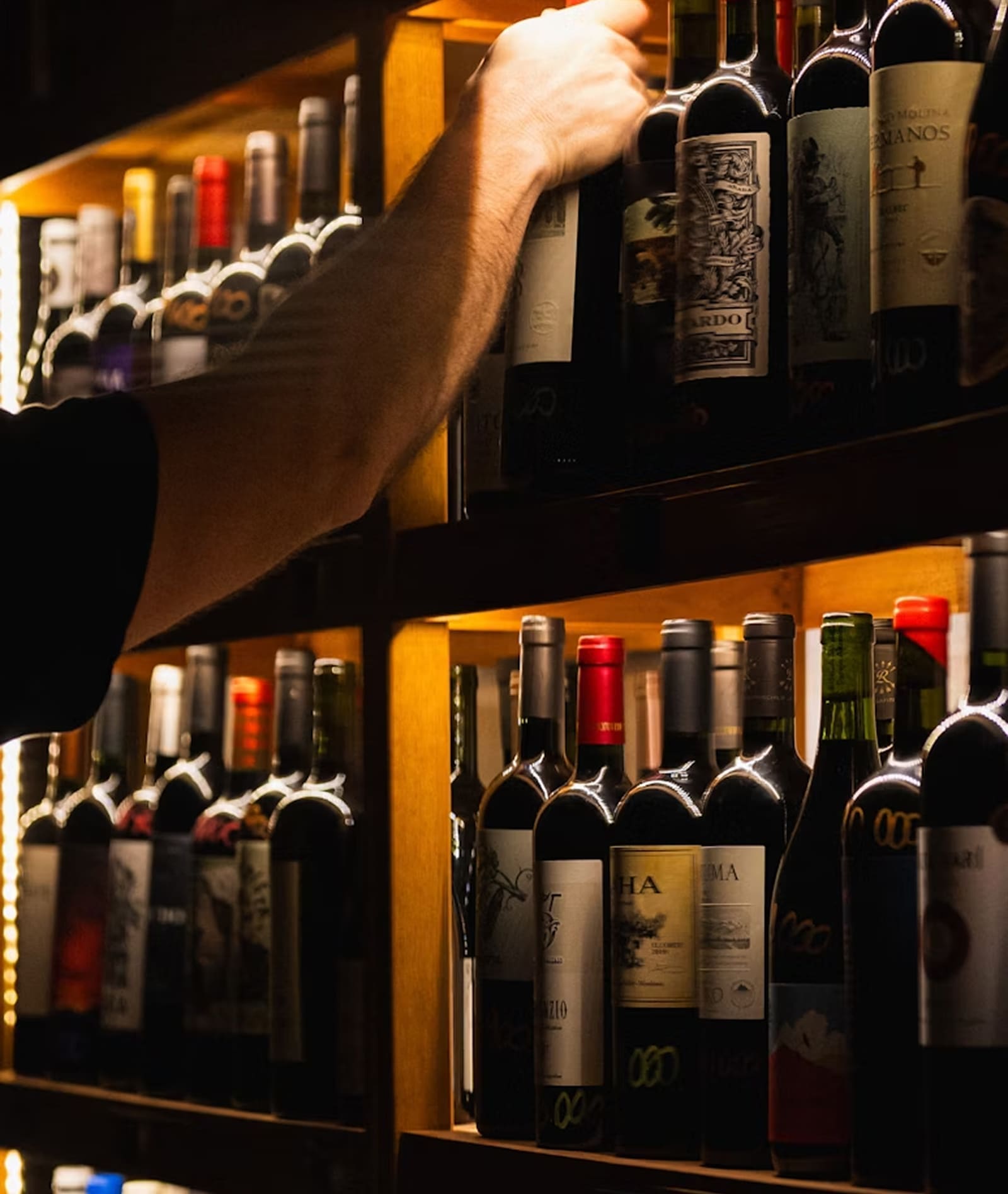 Wine bottles displayed on shelf